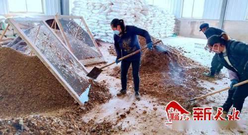 沃土富民路，生態(tài)高橋村 發(fā)展有機(jī)肥料產(chǎn)業(yè)，書(shū)寫(xiě)鄉(xiāng)村振興新篇章