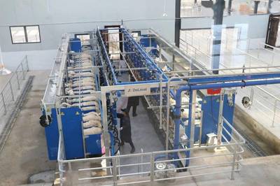 聚力奶綿羊發(fā)展，培育“乳肉”兼用新品種，助力肥料生產(chǎn)新篇章